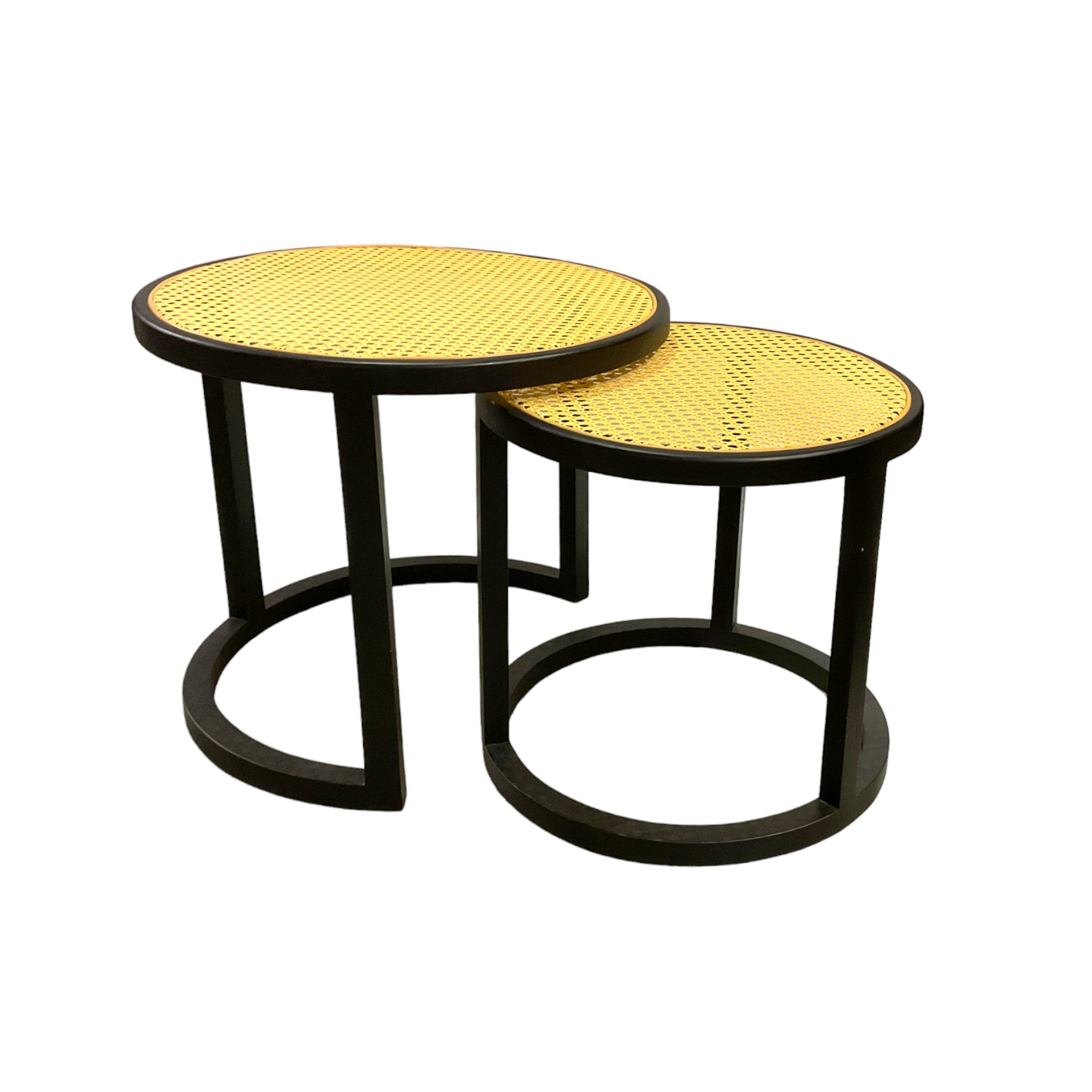 Leo Coffee Table Set of 2