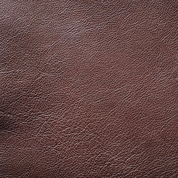 Gofa Leather Sofa