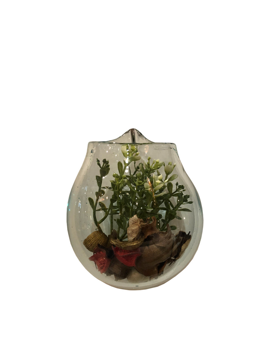 Hanging Glass Terrarium